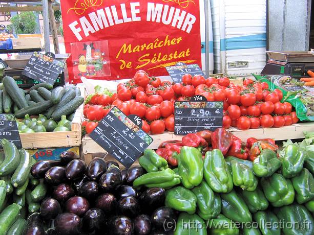 2007-05-12_08-31-46_Mai_37,6mm_1_60_eme_Canon PowerShot A95 